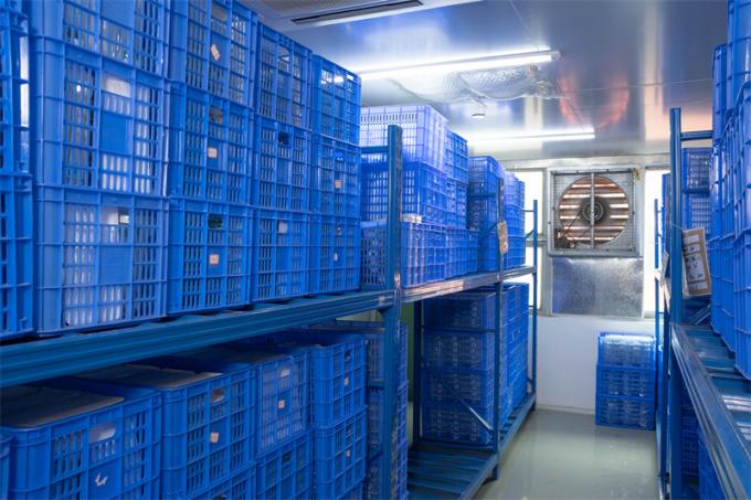 OEM 12 mm Sử dụng phẫu thuật bụng Hasson Trocar Trocar nội soi dùng một lần 7