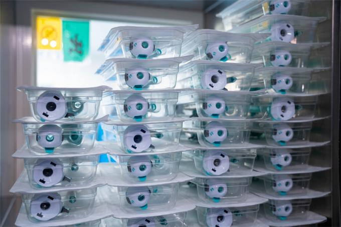 Thiết kế không van bằng nhựa dùng một lần Trocar 5 mm để sử dụng trong phẫu thuật nội soi 7