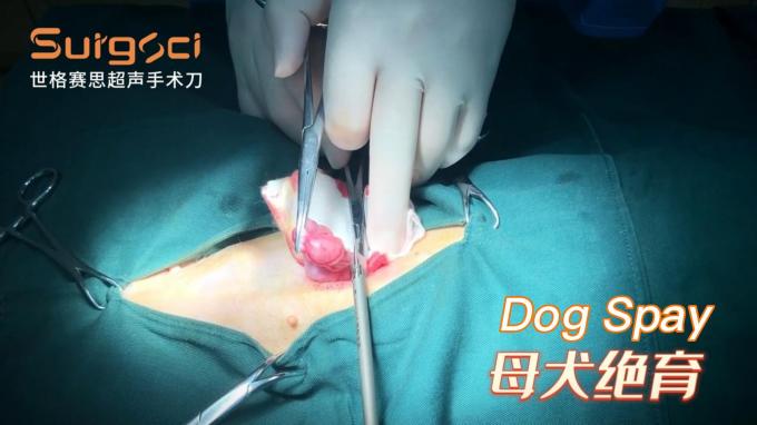 Hệ thống dao mổ siêu âm phẫu thuật siêu âm thú y cho phẫu thuật thú cưng 6