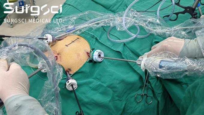 tin tức mới nhất của công ty về Trở thành nhà phân phối của chúng tôi tại quốc gia của bạn.  0