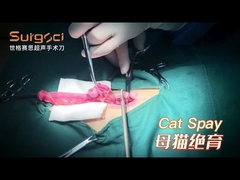 Pet Ultrasonic Scalpel for Cat Surgery | Cat Neutering and Spaying Using Cases